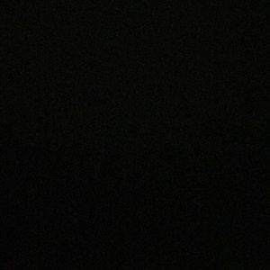 Meet your Posher, Wildalie